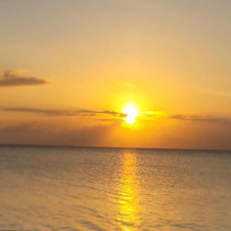 Airport Beach Hotel Montego Bay Exterior foto