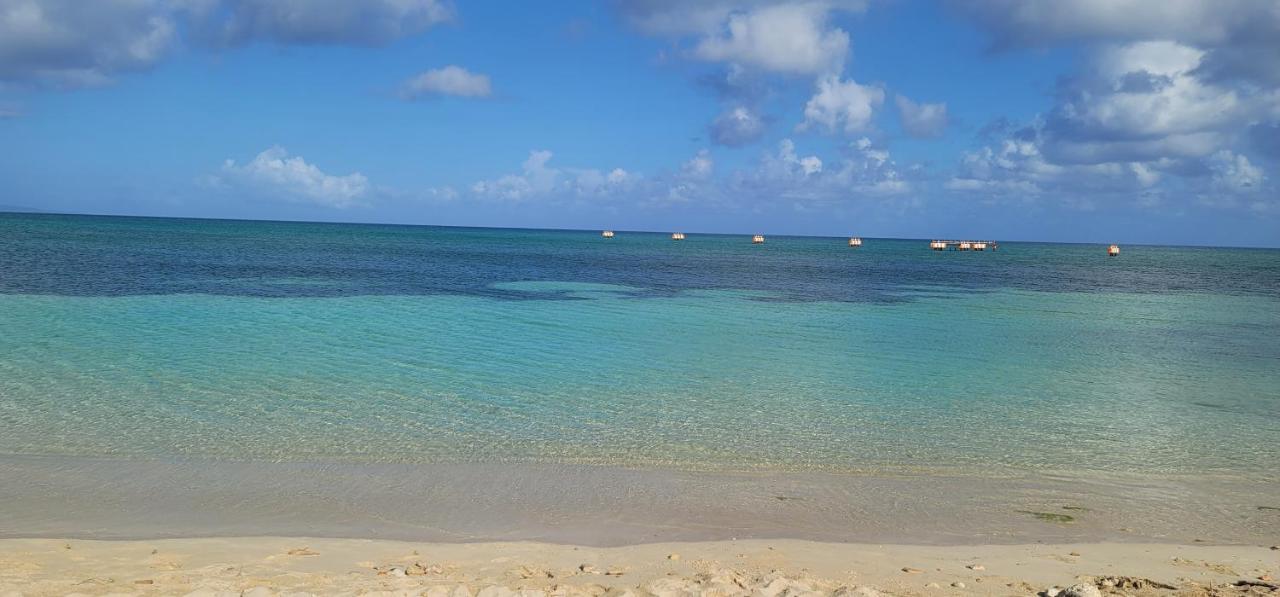 Airport Beach Hotel Montego Bay Exterior foto