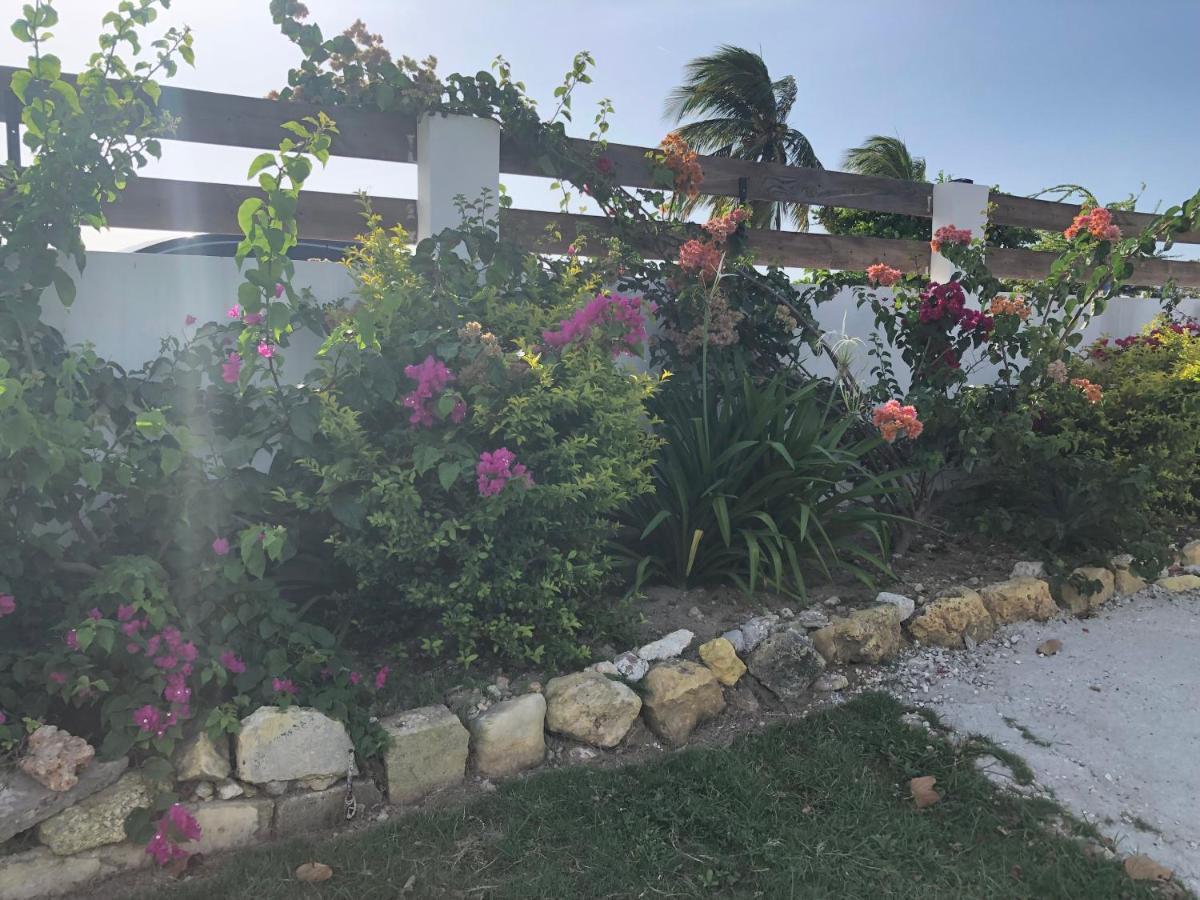 Airport Beach Hotel Montego Bay Exterior foto